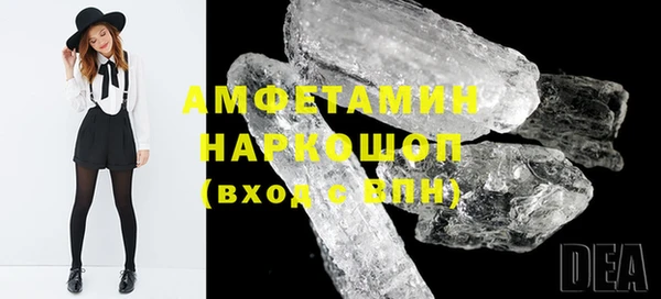 молекула духа Вяземский