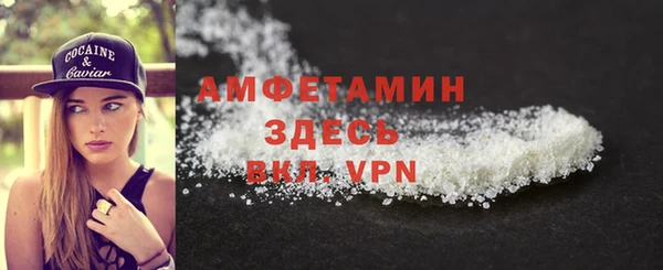 молекула духа Вяземский