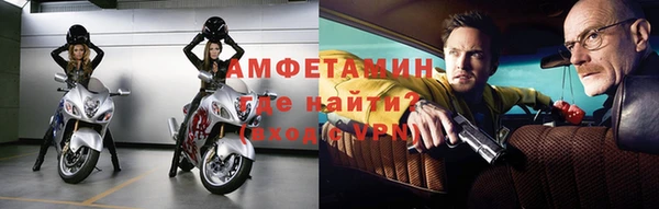 молекула духа Вяземский