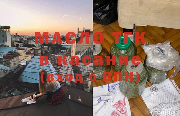 молекула духа Вяземский