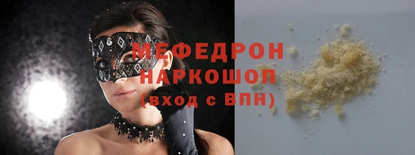 молекула духа Вяземский