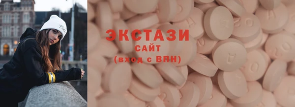 молекула духа Вяземский