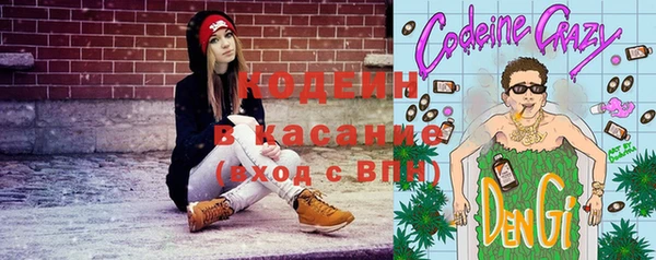 молекула духа Вяземский