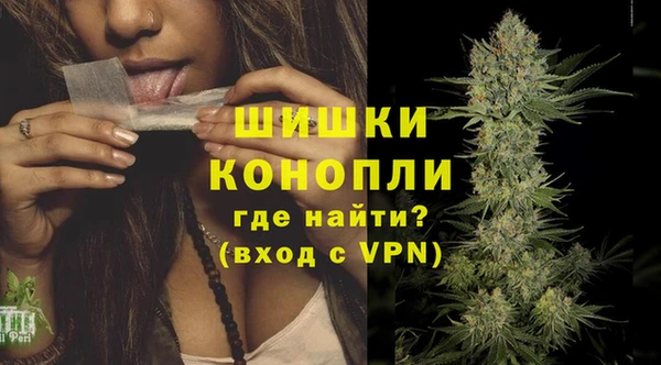 молекула духа Вяземский