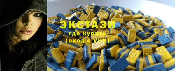 молекула духа Вяземский
