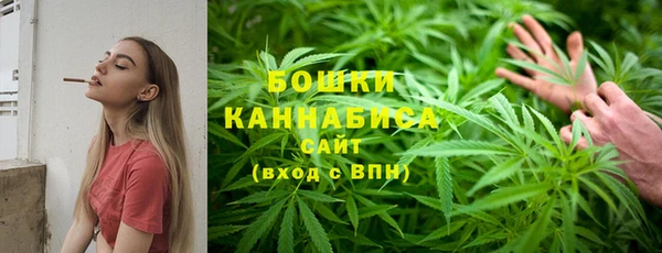 молекула духа Вяземский