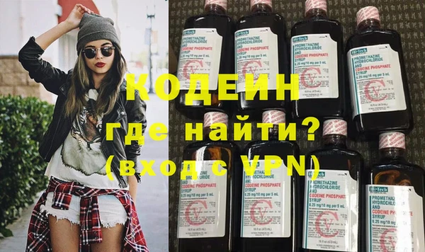 молекула духа Вяземский