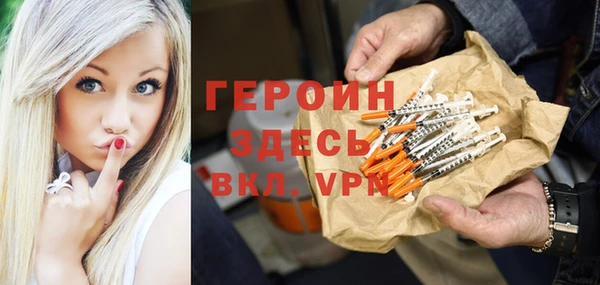 молекула духа Вяземский