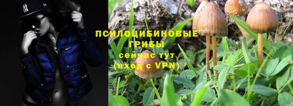молекула духа Вяземский