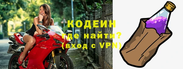 молекула духа Вяземский