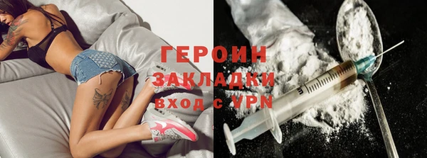 молекула духа Вяземский