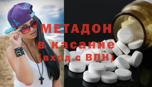 молекула духа Вяземский